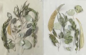 Ecoprint - plant printing workshop with guided tour