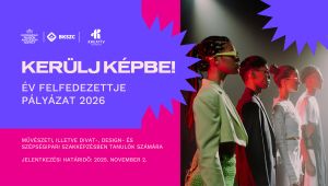 program image